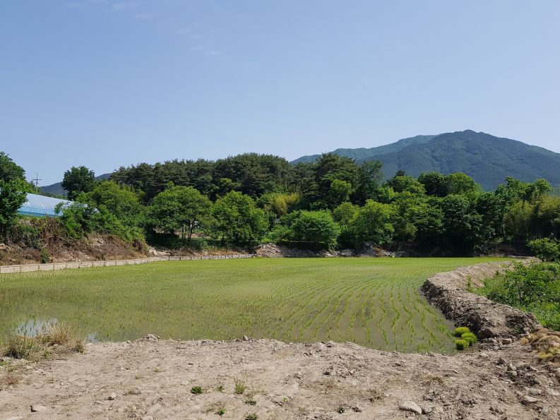 산내면 장항리 창고나 공장용지에 적합한 토지 매매합니다.