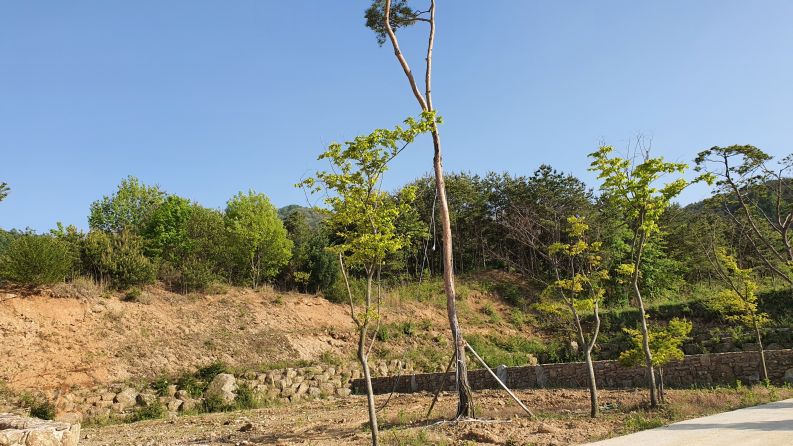지리산자락의 안락안 전원주택단지 토지 매매합니다.