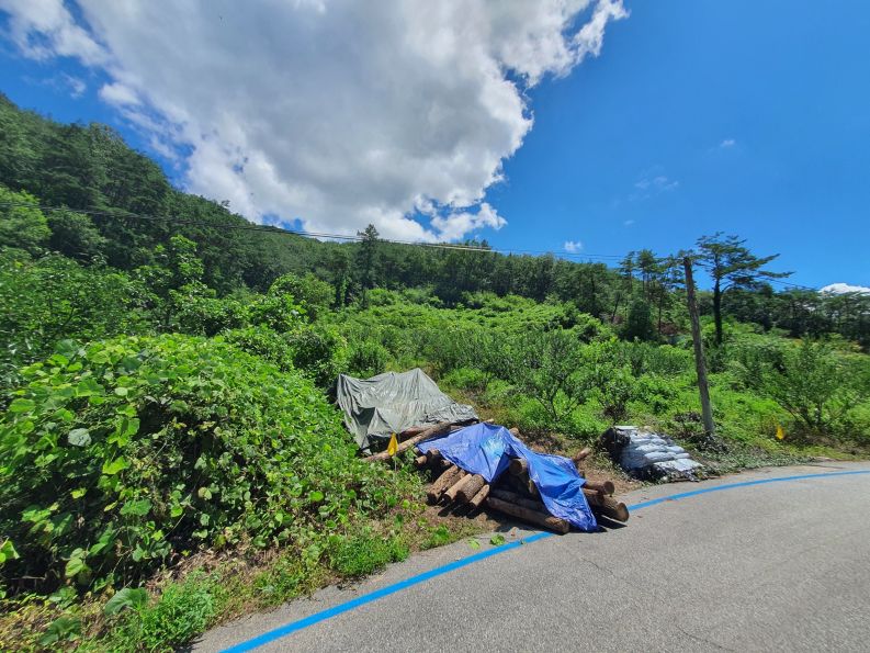 곡성군 죽곡면 하한리 보성강 주변 임야 매매합니다.