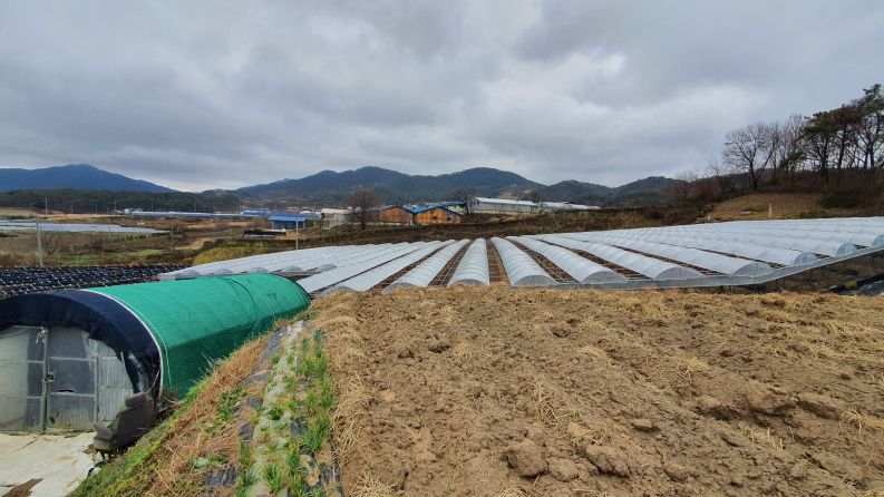 인월면 취암리 포도농장 급매매