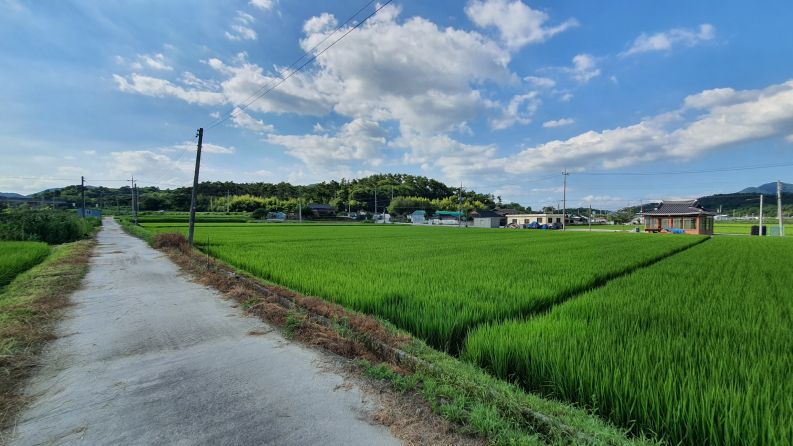 남원시 주생면 영천리 답 매매합니다.