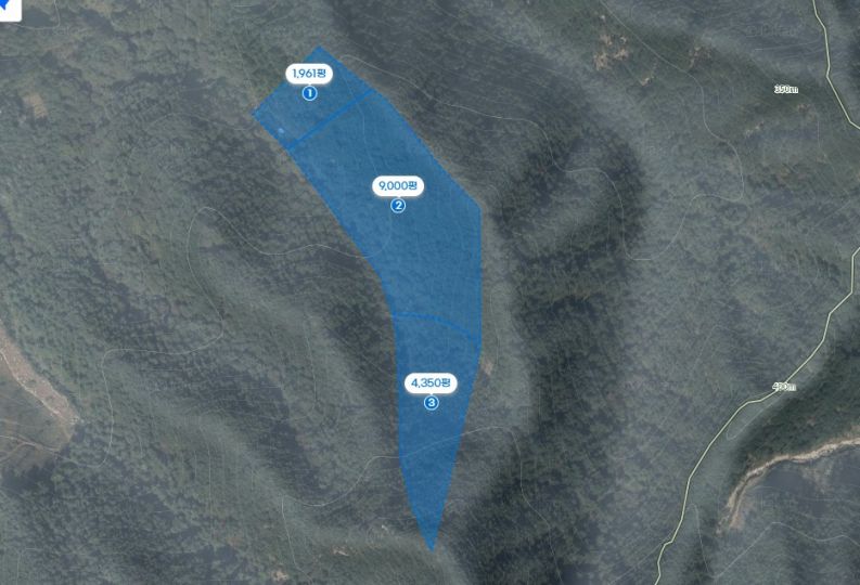 대강면 평촌리 임야 매